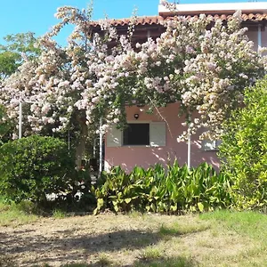 Apartment Jerry, Svoronata